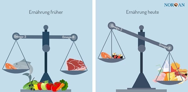 Omega-6-3-Verhaeltnis-frueher-und-heute-1