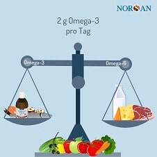 Um-das-Omega-6-3-Verhaeltnis-auszugleichen-sollten-2-g-Omega-3-Pro-Tag-eingenommen-werden-2