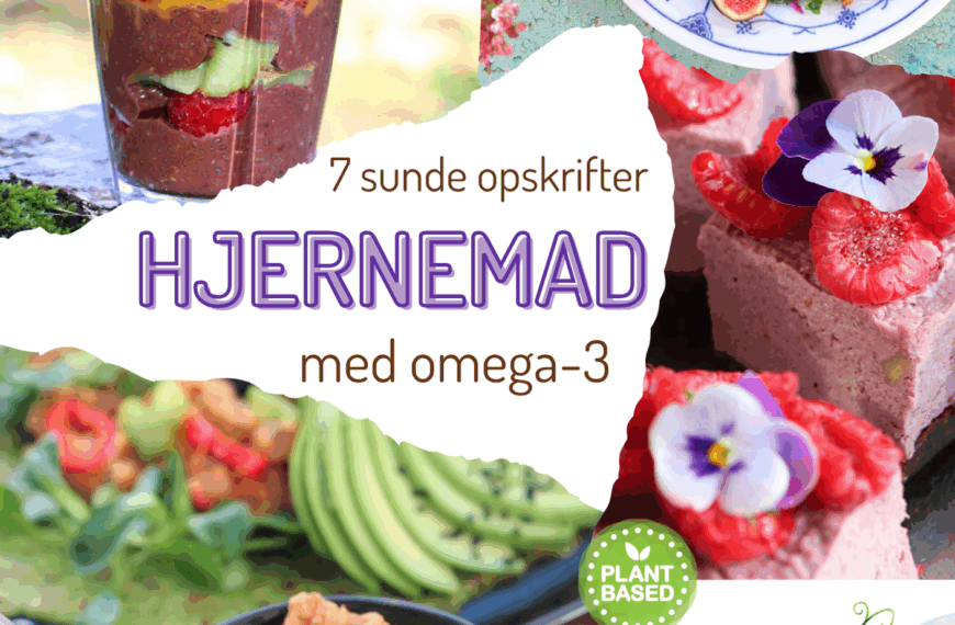 Hjernemad – gratis opskrifthæfte